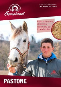Il pastone